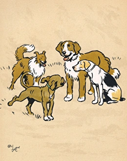 Mongrel puppy with three dogs in the park Mongrel puppy with three dogs in the park