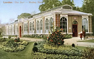 Flowerbed Gallery: Monkey House building at London Zoo