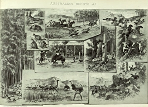Montage depicting various Australian sports Montage depicting various Australian sports