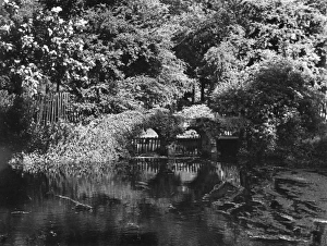 Sights Gallery: Morden Hall Park Collection
