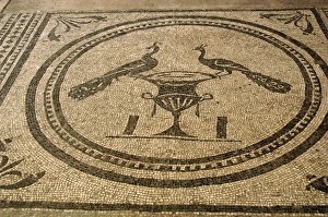 Mosaic depicting two peacocks on a vase Mosaic depicting two peacocks on a vase
