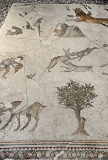 Mosaic of the Great Palace Mosaic Museum. Istanbul Mosaic of the Great Palace Mosaic Museum. Istanbul