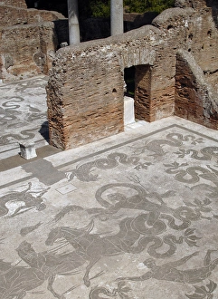 Mosaic of Neptunes Triumph at the Baths of Neptune. Ostia A Mosaic of Neptunes Triumph at the Baths of Neptune. Ostia A