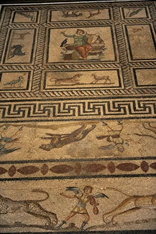 Images Dated 16th January 2012: Mosaic of Orpheus. Miletus. Pergamon Museum. Berlin. Germany