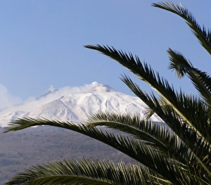 Mount Etna, with palm fronds, Sicily, Italy Mount Etna, with palm fronds, Sicily, Italy