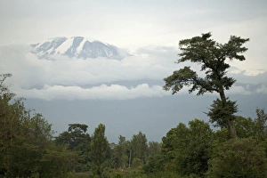 Mount Kilimanjaro - Snow melting on summit Mount Kilimanjaro - Snow melting on summit