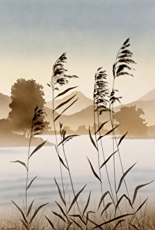 <b class=qtipBold><figcaption>Mountain valley lake with reeds</figcaption></b><br>A view through some wispy reeds towards a misty mountain valley lake looking mysterious in the pale evening light. Airbrush painting by Malcolm Greensmith<br><em>© Mary Evans/Malcolm Greensmith Collection</em> Mountain valley lake with reeds