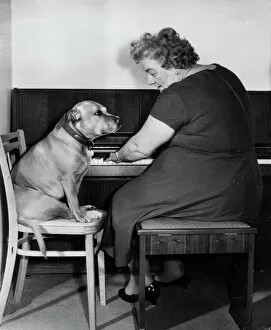 Humorous Gallery: Mrs Mills, celebrity pianist, with dog