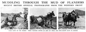 Muddling through the mud of Flanders, 1917 Muddling through the mud of Flanders, 1917