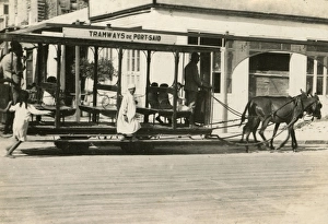Mule-drawn street tram in Port Said, Egypt Mule-drawn street tram in Port Said, Egypt