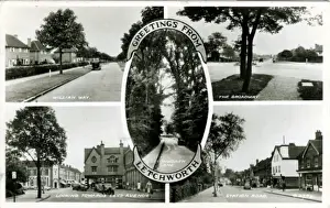Prints of Multiview, Letchworth Garden City, near Hitchin, Hertfordshire, England. Date: 1930s Hertfordshire Prints: Multiview, Letchworth Garden City Print, 1930s