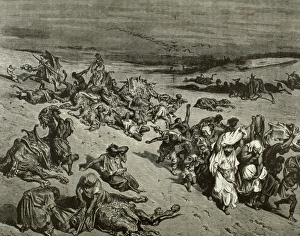 The Murrain of Beast. The Fifth Plague: Livestock Disease. E The Murrain of Beast. The Fifth Plague: Livestock Disease. E