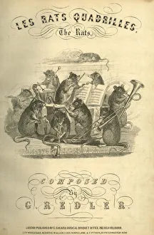 Music cover, Les Rats Quadrilles, The Rats Music cover, Les Rats Quadrilles, The Rats