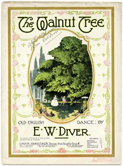 Walnut Gallery: Music cover, The Walnut Tree, by E W Diver