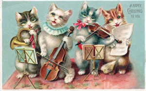 Four musical cats on a Christmas postcard Four musical cats on a Christmas postcard