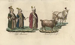 Muslim boys in the days before their circumcision, 1790 Muslim boys in the days before their circumcision, 1790