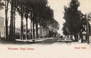 Napier Street, Worcester, Cape Colony, South Africa Napier Street, Worcester, Cape Colony, South Africa