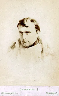 Napoleon Bonaparte after Battle of Fontainebleau Napoleon Bonaparte after Battle of Fontainebleau