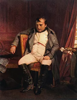 Defeated Gallery: Napoleon (Defeated)