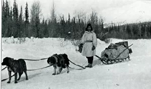 Sleigh Gallery: Native American Indian with dog sleigh