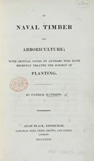 On Naval Timber and Arboriculture by Patrick Matthew - title On Naval Timber and Arboriculture by Patrick Matthew - title