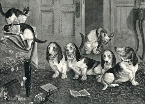 A new dog-fancy: the Basset Hounds by Louis Wain A new dog-fancy: the Basset Hounds by Louis Wain