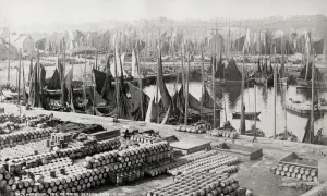 Vintage 19th Century Print: Wick Harbour Herring Fish Boats