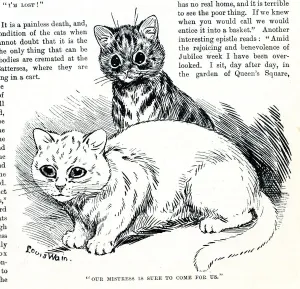 Louis Wain Cat Art Prints: Louis Wain cats - Our Mistress is sure to come for us