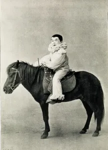 Master Franz Ebert on a Pony Print, 1890s