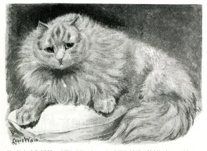 Related Prints: Mrs Pattisons Red Tabby and White cat Chicot Print, 1892