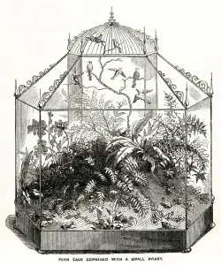 Wardian Case with Ferns and Canaries, 1857 Print