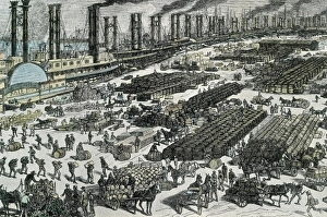 New Orleans (1881). Wharf on Mississippi river New Orleans (1881). Wharf on Mississippi river