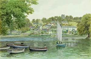 人気特価激安 Newton England) (Devon, Ferrers 絵画