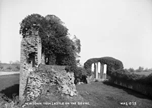 Meath Gallery: Newtown Trim Castle on the Boyne