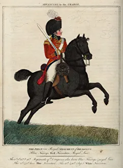 Officer, 1st Royal Regiment of Dragoons Officer, 1st Royal Regiment of Dragoons