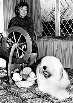 Curtain Gallery: Old English Sheepdog turned into wool