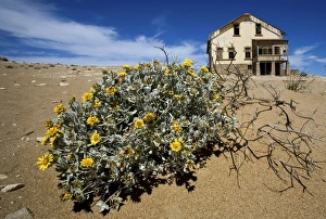 Old Mining Town near Luderitz called Ghost Town Old Mining Town near Luderitz called Ghost Town