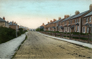 Essex Gallery: Billericay Collection