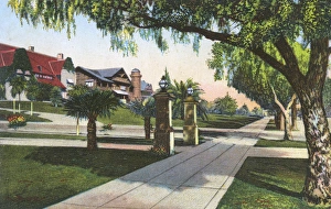 Orange Grove Avenue, Pasadena, California, USA Orange Grove Avenue, Pasadena, California, USA