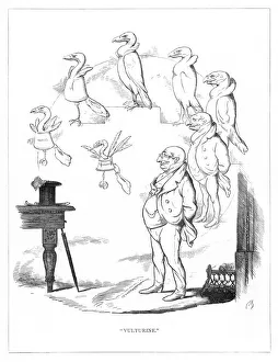 Vulture Gallery: Origin Species, CH Bennett, banker - vulture