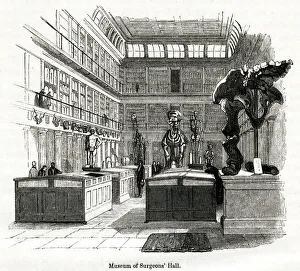 Osteological room in College of Surgeons 1880s Osteological room in College of Surgeons 1880s