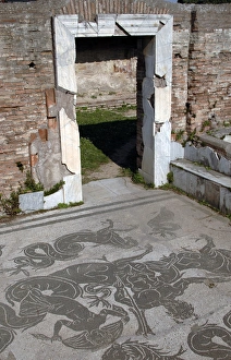 Ostia Antica. Mosaic of Baths of Buticosus Ostia Antica. Mosaic of Baths of Buticosus