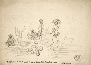 The Ostrich nest, East of Bembesi River The Ostrich nest, East of Bembesi River