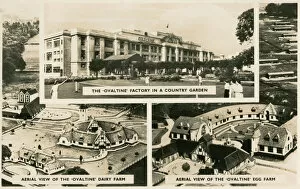 Farm Gallery: The Ovaltine Factory and Farms, Kings Langley