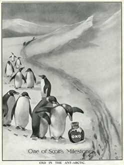 Supplies Gallery: Oxo advertisement - Scott Antarctic expedition endorsement