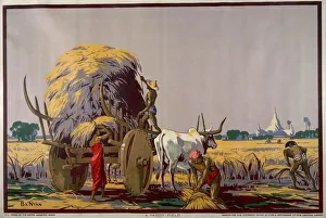 <b class=qtipBold><figcaption>Paddy Field</figcaption></b><br>Empire Marketing Board 1927-1933 poster, A Paddy Field Date: 1927-1933<br><em>© Mary Evans / National Archives</em> Paddy Field