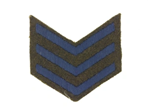 One of a pair of chevrons, service (blue) One of a pair of chevrons, service (blue)
