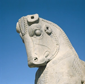 Palace of Darius I. Apadana or Audience Hall. 6th Palace of Darius I. Apadana or Audience Hall. 6th