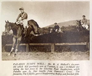 Paladin, belonging to Mr. R. Holbech, seen clearing the last fence in the Charlton Park Paladin, belonging to Mr. R. Holbech, seen clearing the last fence in the Charlton Park
