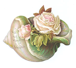 Pale pink roses on a shell-shaped Christmas card Pale pink roses on a shell-shaped Christmas card